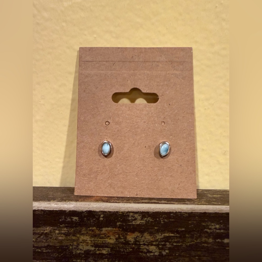 Elegant Silver and Blue Stud Earrings